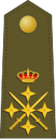 Insignia de rango